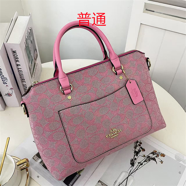 Coach bag-0373