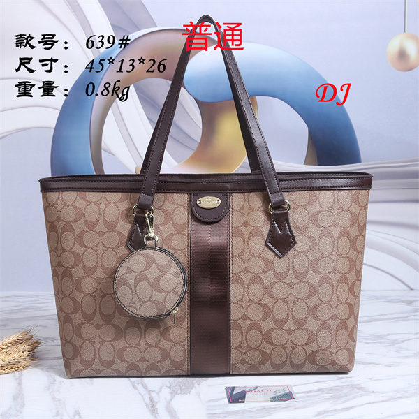 Coach bag-0038