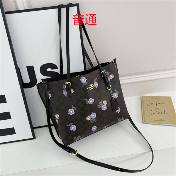 Coach bag-0389
