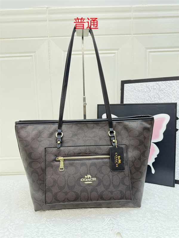Coach bag-0410