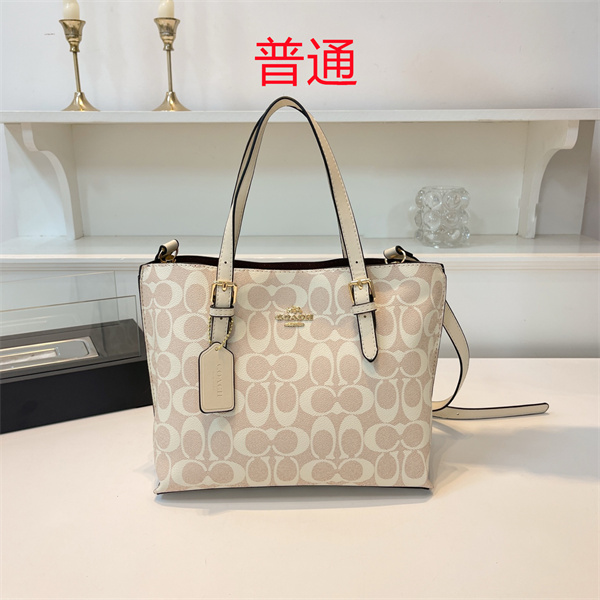 Coach bag-0422