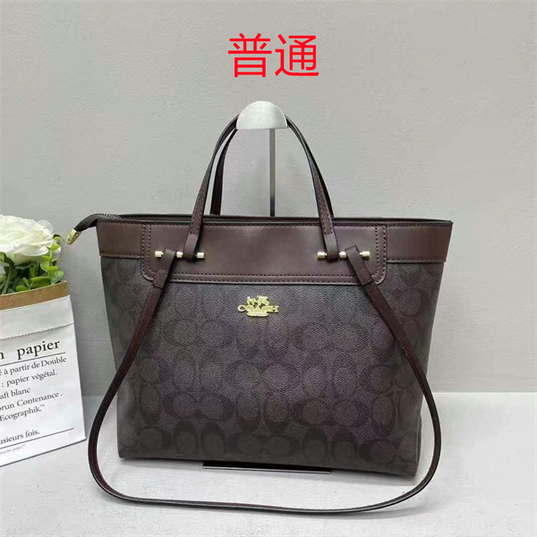 Coach bag-0428