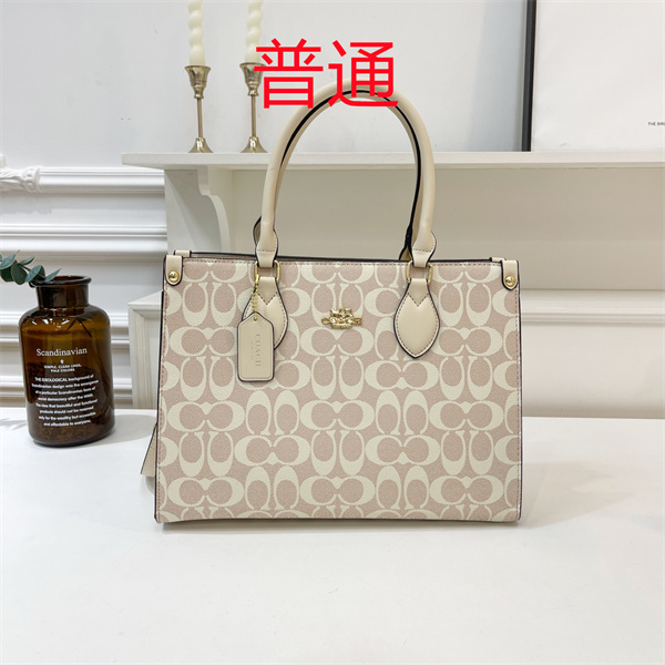 Coach bag-0440
