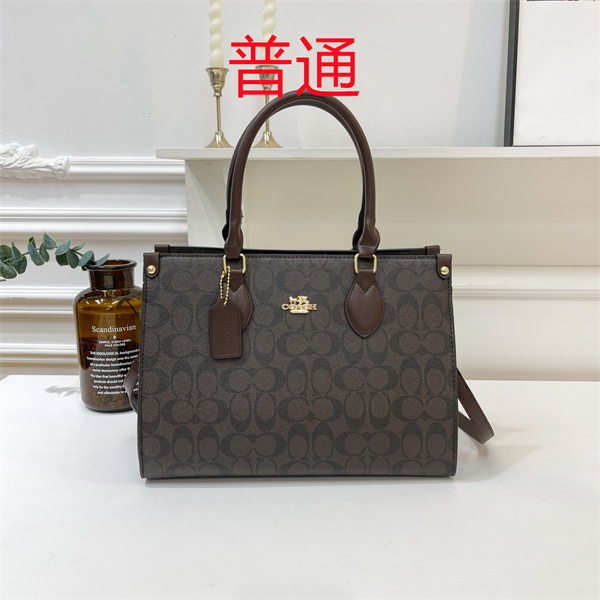 Coach bag-0443