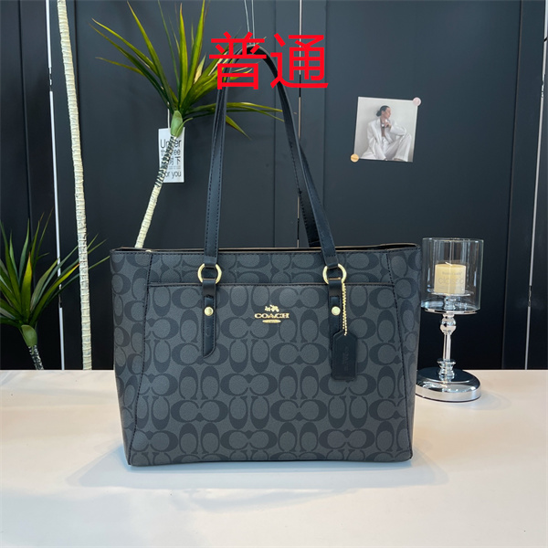 Coach bag-0450