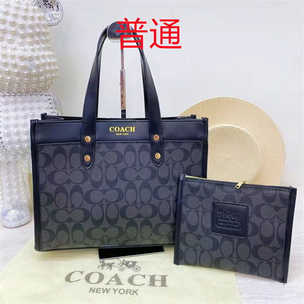 Coach bag-0452