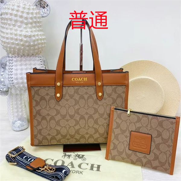 Coach bag-0454