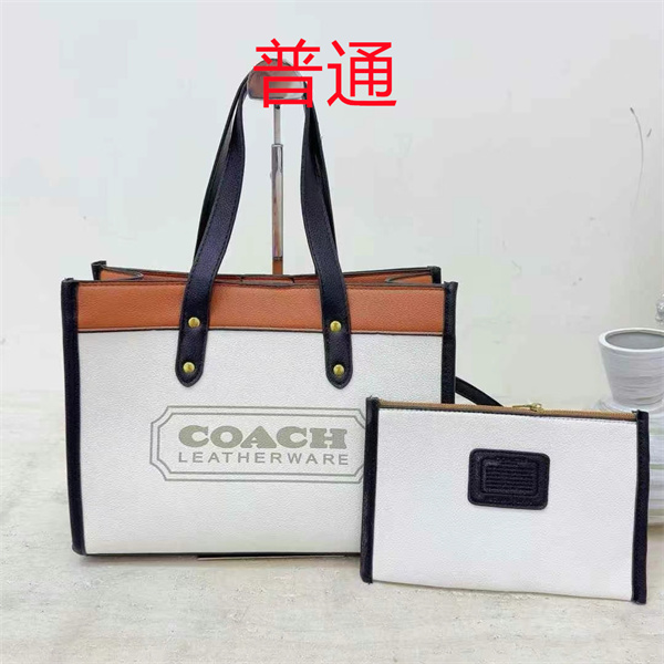 Coach bag-0457