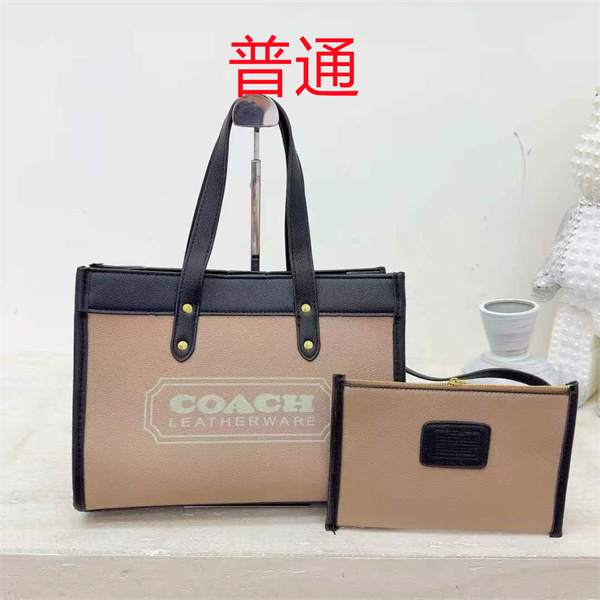 Coach bag-0459