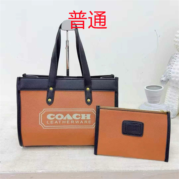 Coach bag-0461