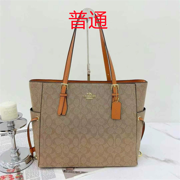 Coach bag-0463