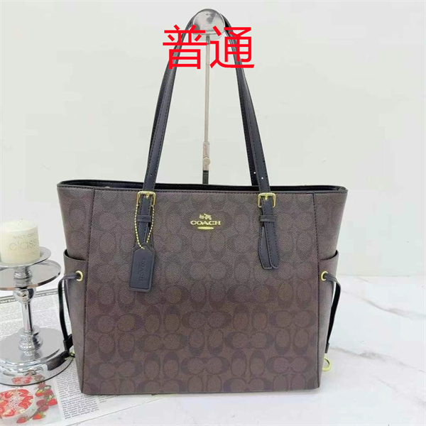 Coach bag-0465
