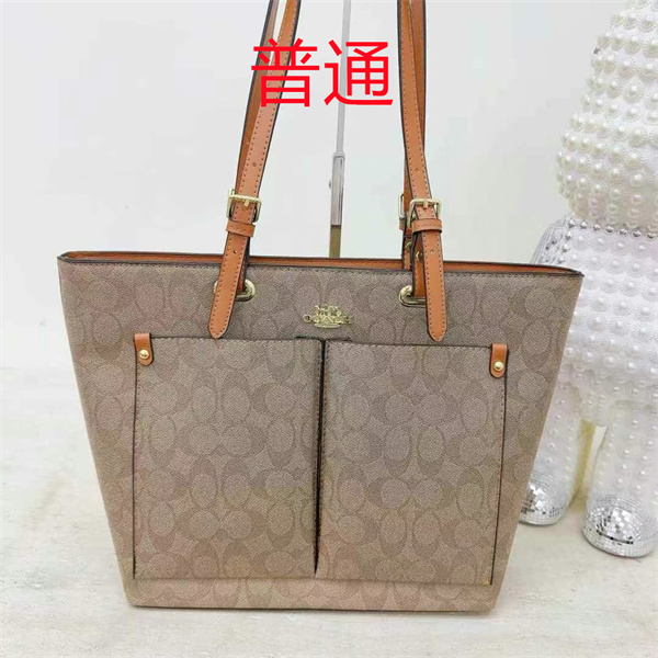 Coach bag-0470