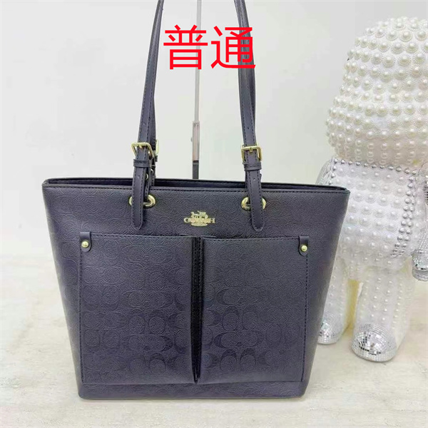 Coach bag-0471