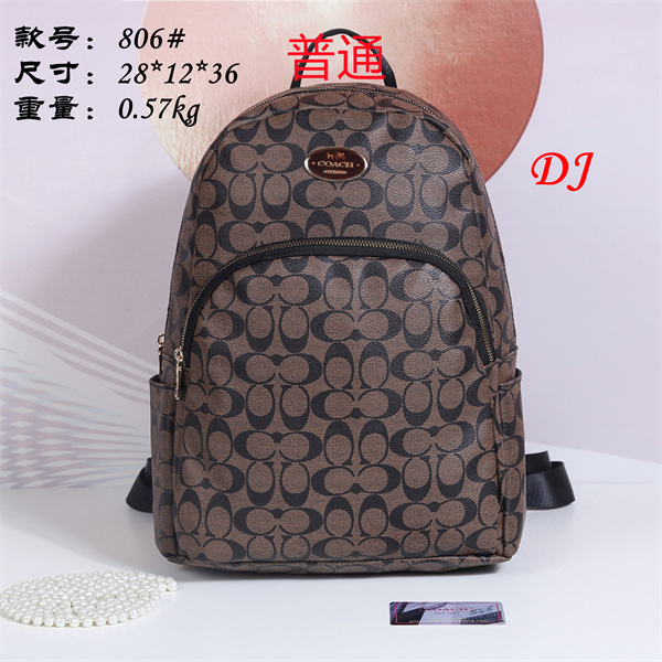 Coach bag-0048