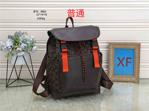 Coach bag-0005