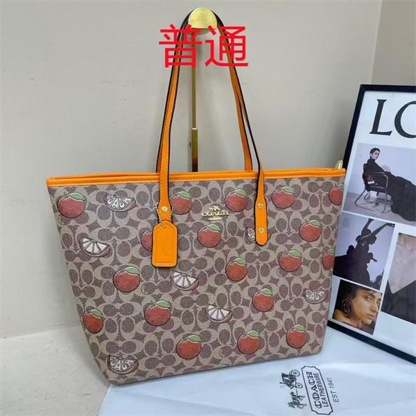 Coach bag-0519