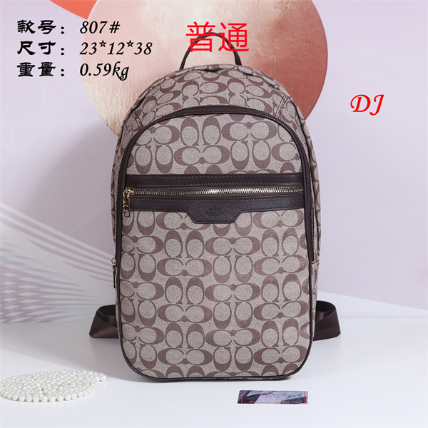 Coach bag-0053
