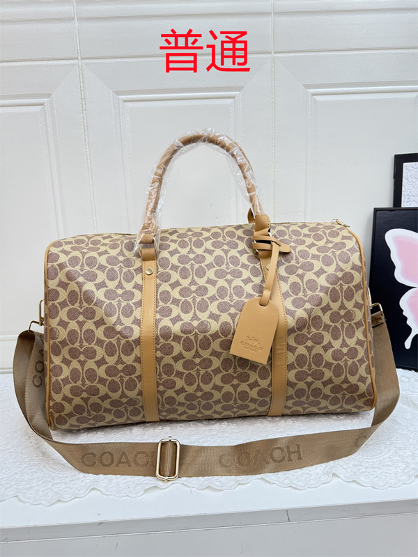Coach bag-0531