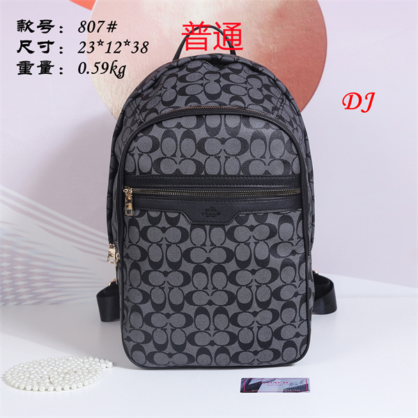 Coach bag-0054