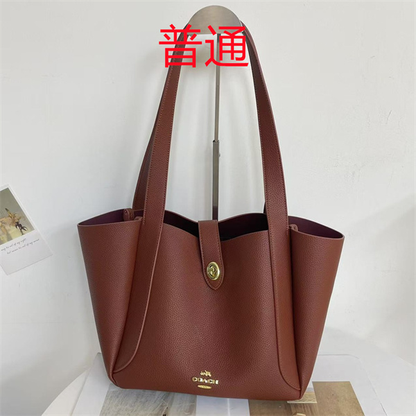 Coach bag-0540