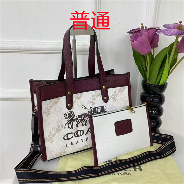 Coach bag-0542