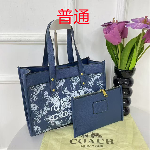 Coach bag-0547