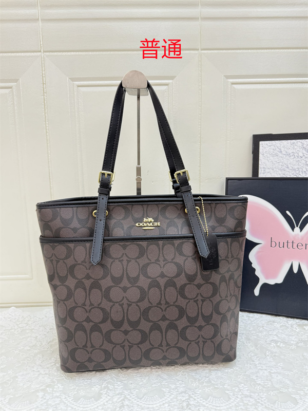 Coach bag-0565
