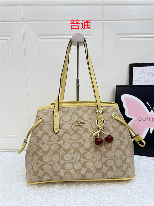 Coach bag-0569