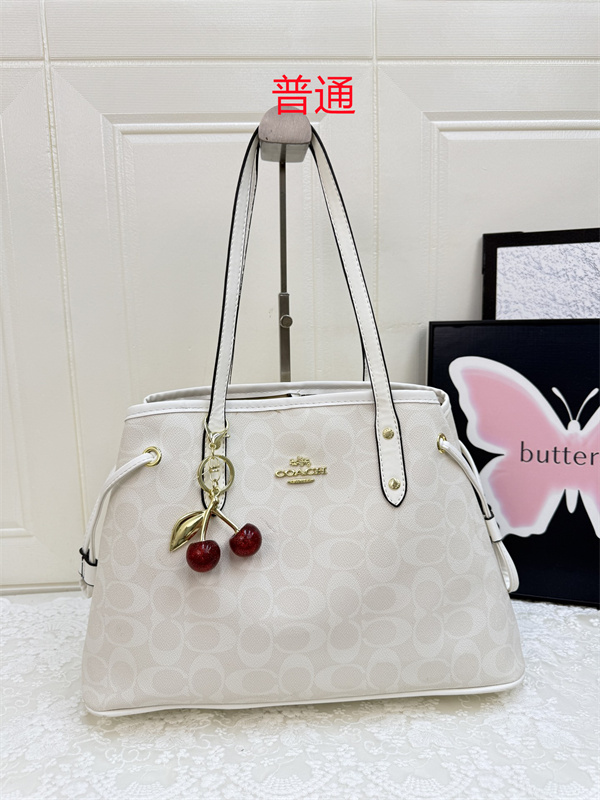 Coach bag-0571