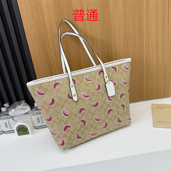 Coach bag-0589