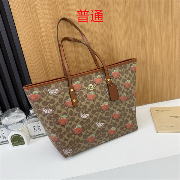 Coach bag-0591