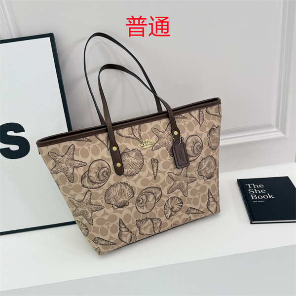 Coach bag-0597