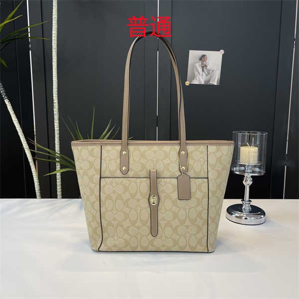 Coach bag-0608