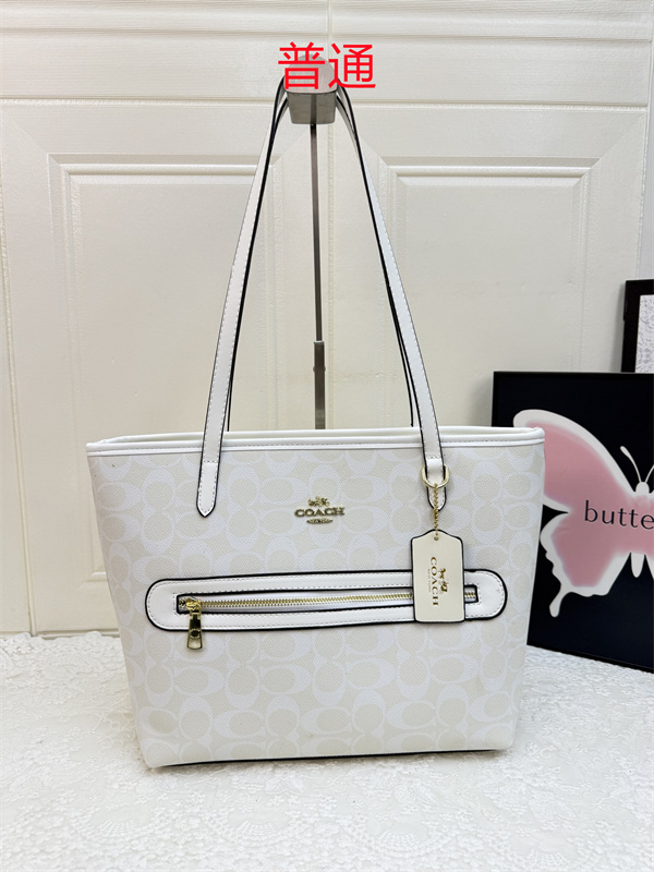Coach bag-0613