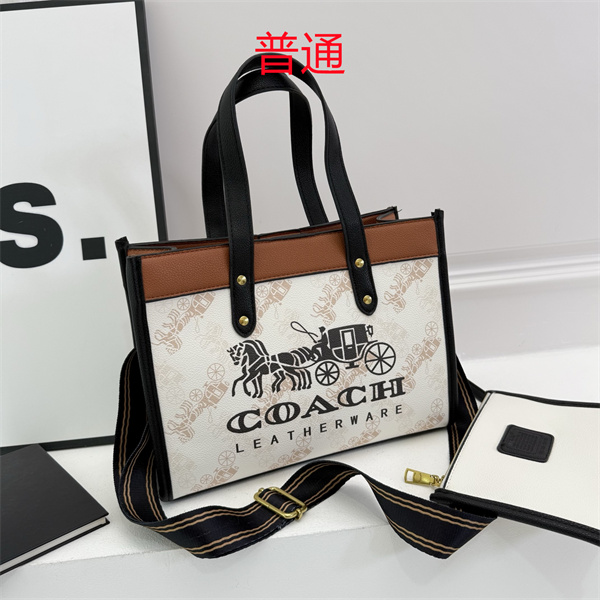 Coach bag-0624