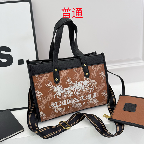 Coach bag-0626