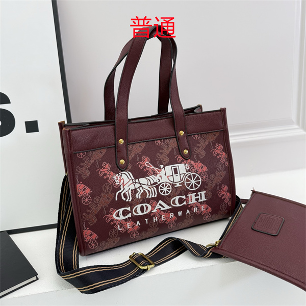 Coach bag-0627
