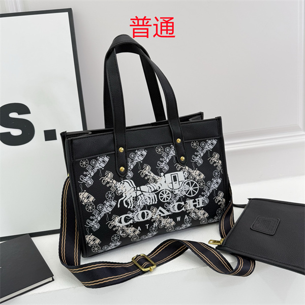 Coach bag-0629