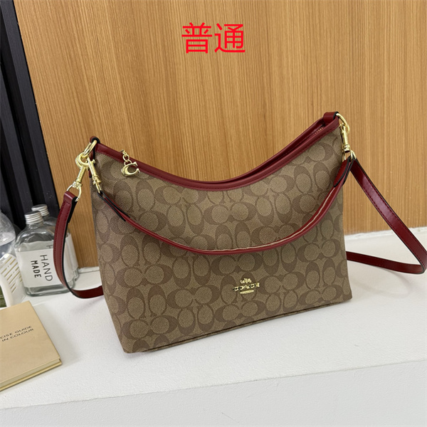 Coach bag-0637