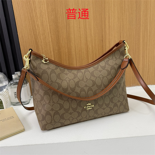 Coach bag-0643