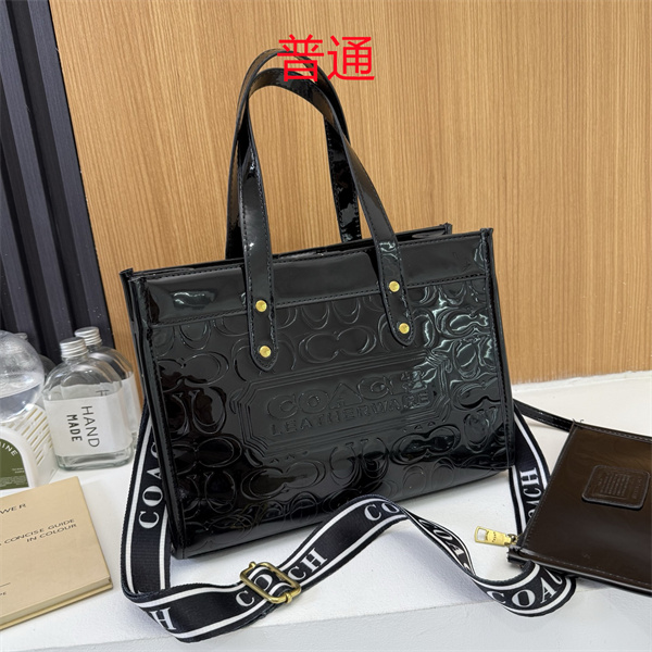 Coach bag-0646