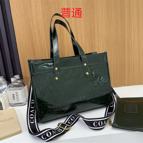 Coach bag-0647