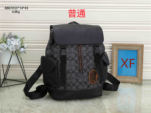 Coach bag-0007