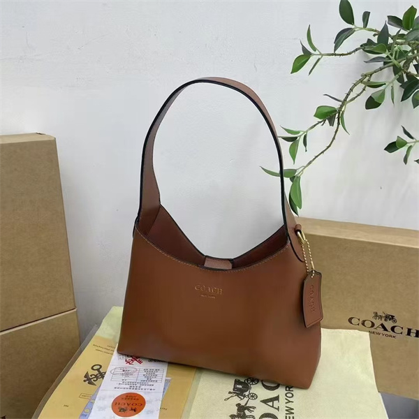 Coach bag-0075
