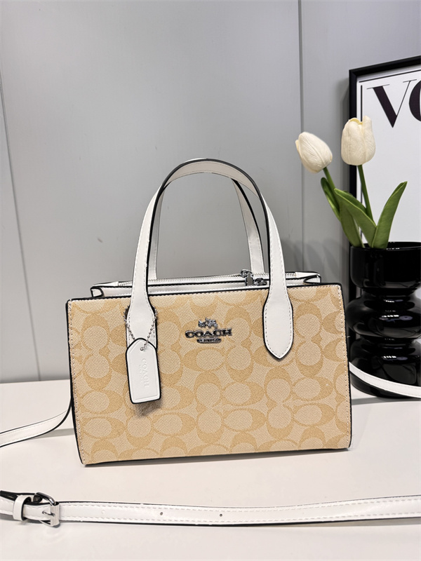 Coach bag-0086