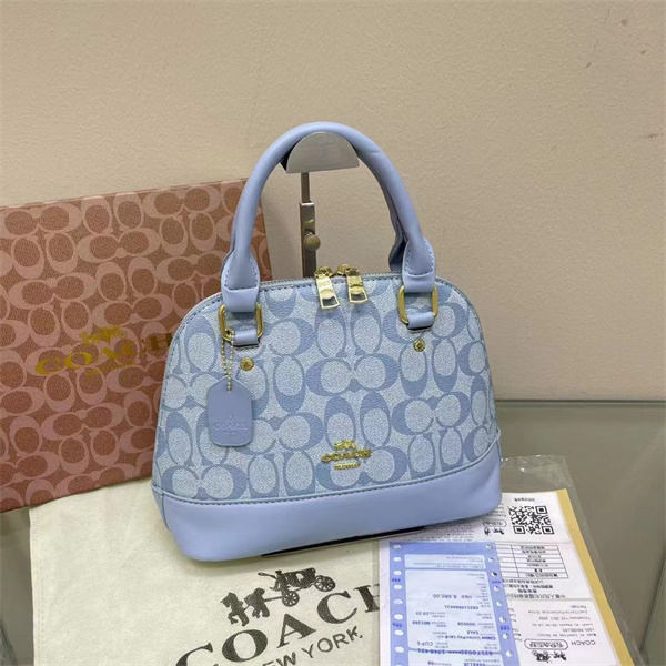 Coach bag-0090