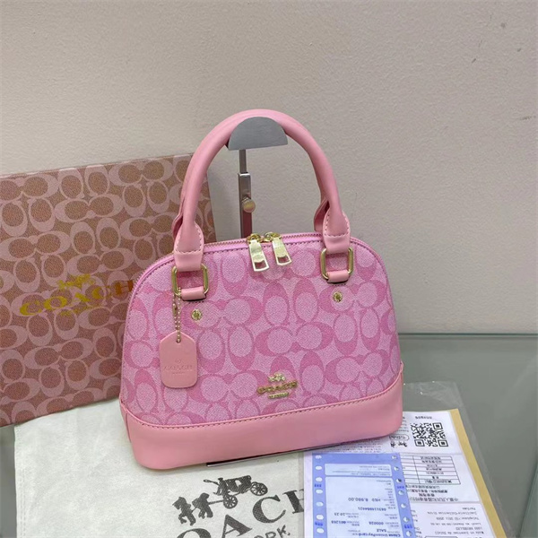 Coach bag-0091