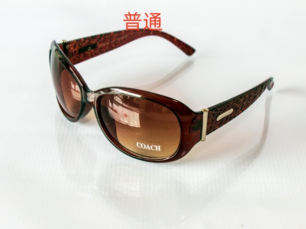 COACH-Sunglass-0021