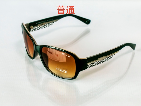 COACH-Sunglass-0034